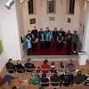 009 vocis imago